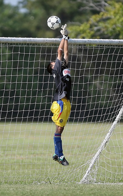 导的锋线组 导的锋线组