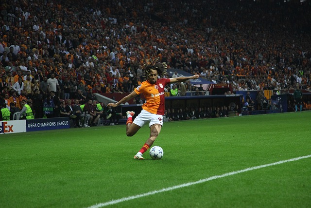 在国际舞台 在国际舞台