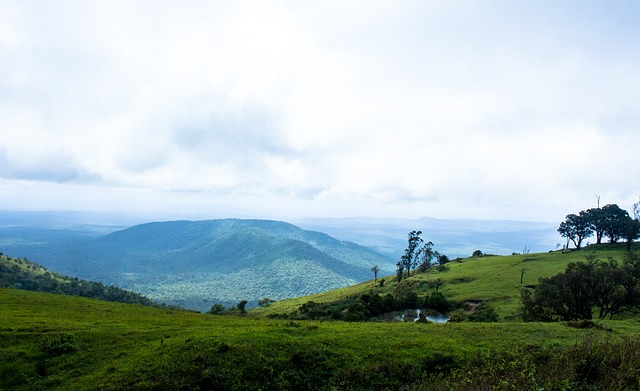 不同对手的 不同对手的