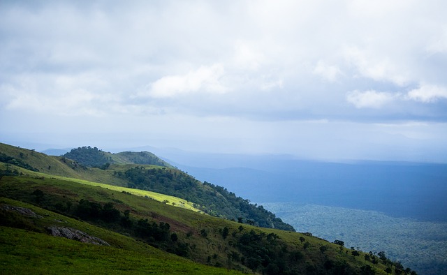 威尔逊与贾 威尔逊与贾