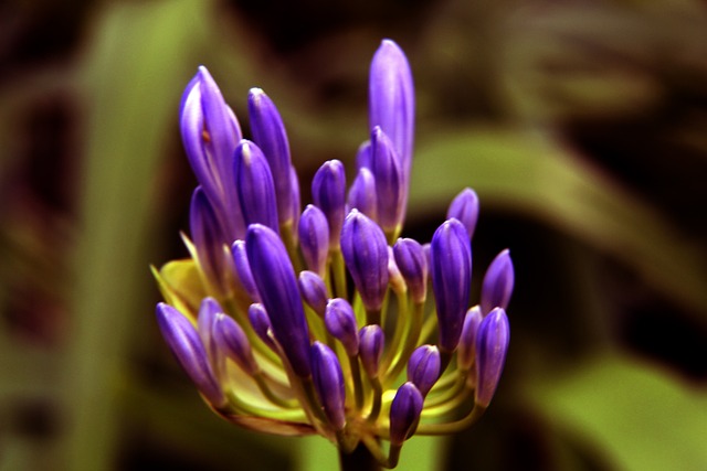 带上野餐篮 带上野餐篮