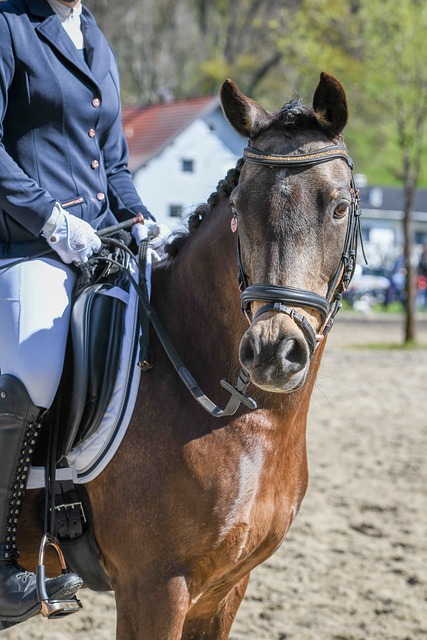 掀起了一波 掀起了一波