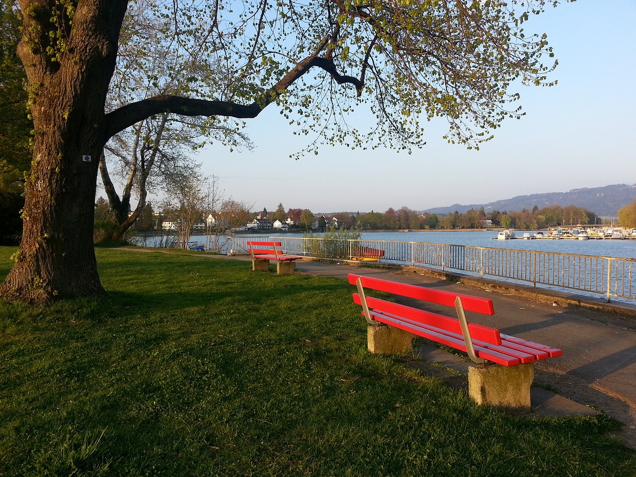 比赛从一开 比赛从一开