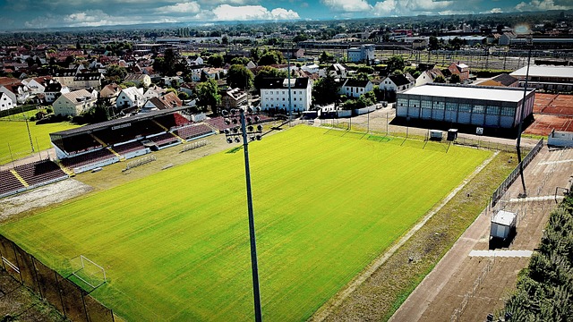 力图帮助A 力图帮助A